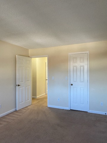 Gallery Photo 18
